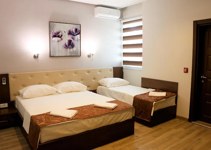 Aen Hotel-old Hotel Skopje